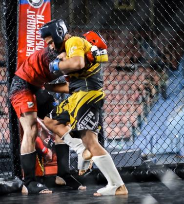 Смешанные боевые единоборства (ММА)